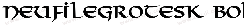 neufilegrotesk BOLd字体转换